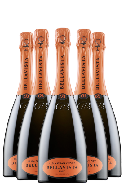 6 Bottiglie Franciacorta DOCG Alma Cuvée Brut Bellavista